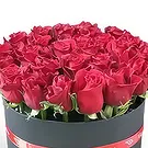 Adma flowers  -  Fresh One Flower Bouquet/Arrangement