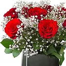 Maastricht flowers  -  Pure Romance Flower Bouquet/Arrangement