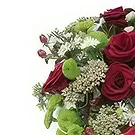 Adma flowers  -  Because I care Flower Bouquet/Arrangement