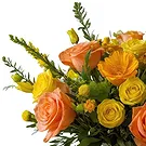 San Andros flowers  -  Natural Selection Flower Bouquet/Arrangement