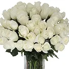 Greece flowers  -  Fresh Roses Bouquet Flower Bouquet/Arrangement