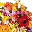 Santa Maria flowers  -  Medium Bouquet of Colorful Field Colorful  Flower Bouquet/Arrangement