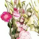 Ouled Maaref flowers  -  Lisianthus Flower Bouquet/Arrangement