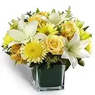 Lihbab 2 Blumen Florist- Frische garantiert Bouquet/Blumenschmuck