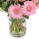 Italy flowers  -  Bouquet of pink flowers for the birth of a gi Flower Bouquet/Arrangement