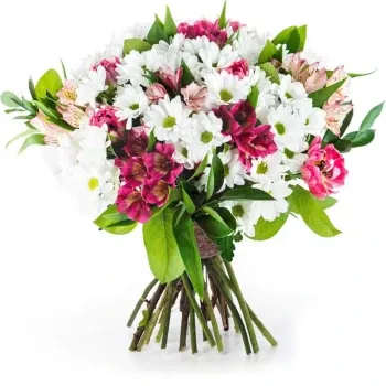 Włochy kwiaty- Bukiet Białych Stokrotek Z Alstroemerią