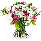 fiorista fiori di Firenze- Bouquet di Margherite Bianche con Alstroemeri Bouquet floreale