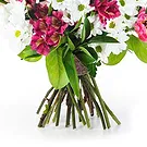 fiorista fiori di Firenze- Bouquet di Margherite Bianche con Alstroemeri Bouquet floreale