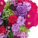 GrandRiviere kukat- Fuksia ja mauve surin sydän Antigone Kukka kukkakimppu