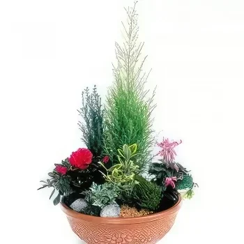 flores Marsella floristeria -  Taza de planta roja y fucsia Garden of Eden Ramo de flores/arreglo floral