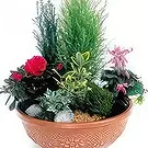 fiorista fiori di Laval- Vaso per piante fucsia e rosso Giardino dell' Bouquet floreale