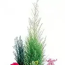 fiorista fiori di Laval- Vaso per piante fucsia e rosso Giardino dell' Bouquet floreale