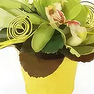 fiorista fiori di Laval- Composizione floreale Gaite Bouquet floreale
