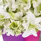 Garhoud flowers  -  Garden Beauty Flower Bouquet/Arrangement