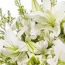 Garhoud flowers  -  Garden Beauty Flower Bouquet/Arrangement