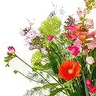 Vanlose flowers  -  Bouquet Dear Mama Flower Bouquet/Arrangement