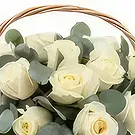 Nea Krya Vrysi flowers  -  12 White roses Flower Bouquet/Arrangement