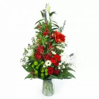 Bordeaux flowers  -  Wreath in the hand Ovide Flower Delivery