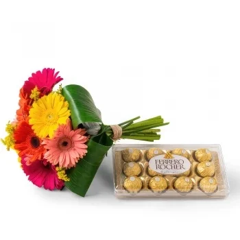 רסיפה פרחים- זר של 8 גרברות צבעוניות ושוקולדים זר פרחים/סידור פרחים