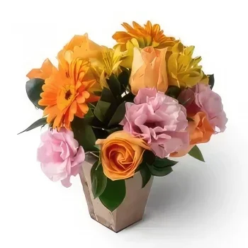 Braсilia cveжe- Аranžman Gerbere, poljсkog cveća i ruža Cvet buket/aranžman