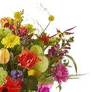 Vanlose flowers  -  Bouquet Color Palette Flower Bouquet/Arrangement