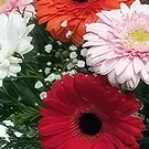 Cala Llonga flowers  -  Love & Happy Flower Bouquet/Arrangement