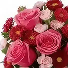 بائع زهور امتداد السوكورو- قوة الفتاة باقة الزهور