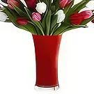 Ad Dilam blomster- Blandede tulipaner Blomsterarrangementer bukett