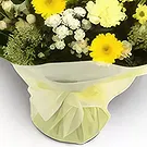 Palia Ampelia flowers  -  Gift of Lush Flower Bouquet/Arrangement