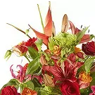 Juelsminde blomster- Tillykke Blomst buket/Arrangement