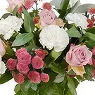 Tilburg Blumen Florist- Herrliche Liebe Bouquet/Blumenschmuck
