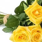 Chile flowers  -  Bouquet of 12 Yellow Roses Flower Bouquet/Arrangement