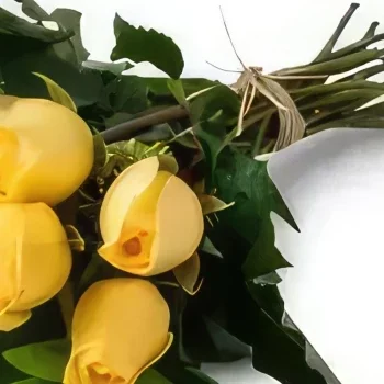 Manauс cveжe- Buket od 15 žutih ruža Cvet buket/aranžman
