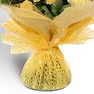 Palia Ampelia flowers  -  Spectacular Surprise Flower Bouquet/Arrangement