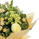 Palia Ampelia flowers  -  Spectacular Surprise Flower Bouquet/Arrangement