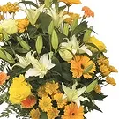 Cala Llonga flowers  -  Golden Memories Tribute Flower Bouquet/Arrangement