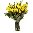 Italy flowers  -  Yellow freesias Flower Bouquet/Arrangement