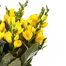 Italy flowers  -  Yellow freesias Flower Bouquet/Arrangement
