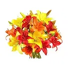 Sitrah blommor- Färgglada asiatiska Lillies Bukett/blomsterarrangemang