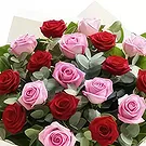 Sofia flowers  -  Party Time Flower Bouquet/Arrangement