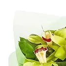 보르나레보 꽃- 우선 사항 꽃다발/꽃꽂이