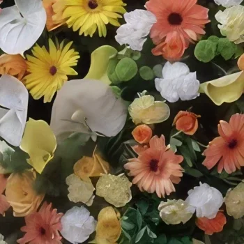 פארו פרחים- רגשות טהורים זר פרחים/סידור פרחים