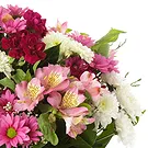 Al Wajba blommor- Glad Bukett/blomsterarrangemang
