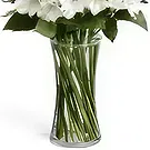 Budapest flowers  -  PROMISE - BOUQUET OF FLOWERS Flower Bouquet/Arrangement
