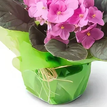 רסיפה פרחים- אגרטל סגול מתנה זר פרחים/סידור פרחים