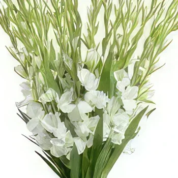 Boyeros (Boyeros) kwiaty- Świeża letnia miłość Bukiet ikiebana