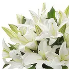 fiorista fiori di Cao Bằng- Sorriso sereno Bouquet floreale