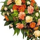 Swallow flowers  -  Gratefulness Flower Bouquet/Arrangement