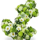 Zande blommor- Lime Time Bukett/blomsterarrangemang