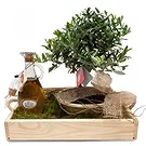Cala Llonga flowers  -  Green Branch Flower Bouquet/Arrangement